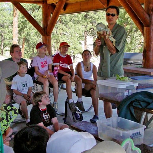 Gallery photo 2 of Canyon Critters LLC