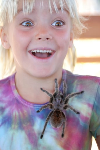 Gallery photo 3 of Canyon Critters LLC