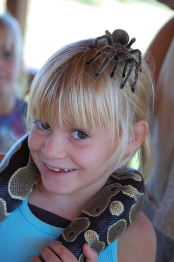 Gallery photo 4 of Canyon Critters LLC