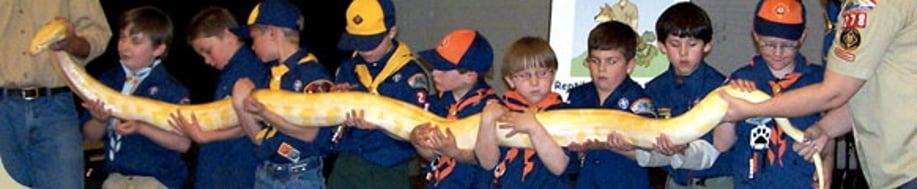 Gallery photo 5 of Canyon Critters LLC