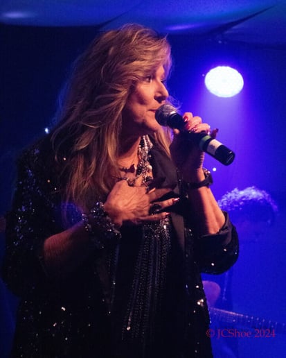 Gallery photo 11 of The Carolina Show Band