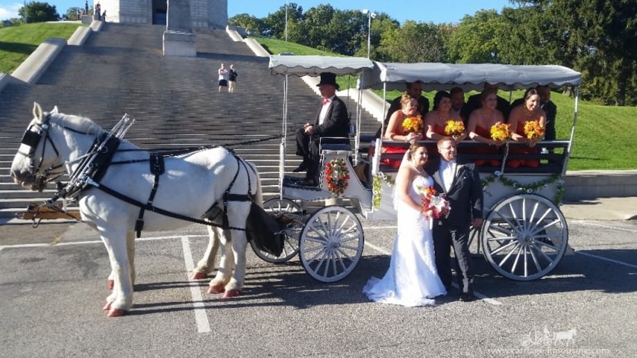 Gallery photo 6 of Carriage Limousine Service - Horse Drawn Carriages