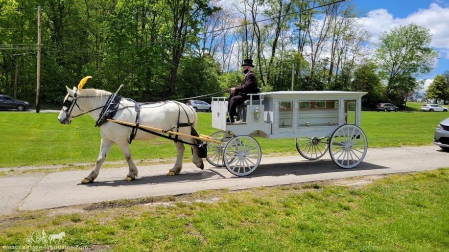Gallery photo 8 of Carriage Limousine Service - Horse Drawn Carriages