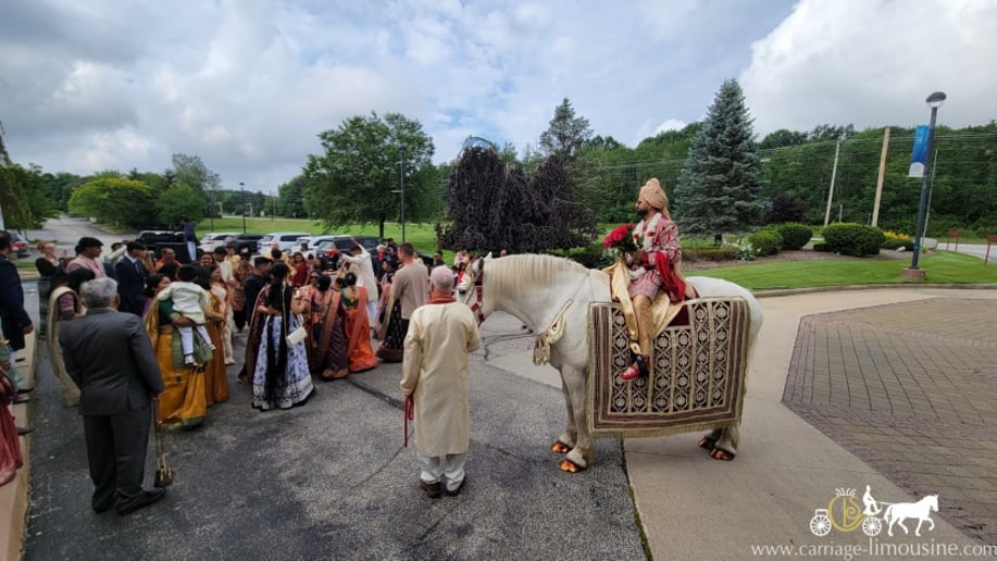 Gallery photo 7 of Carriage Limousine Service - Horse Drawn Carriages