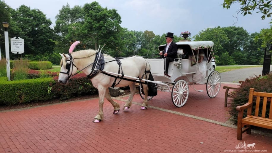 Gallery photo 3 of Carriage Limousine Service - Horse Drawn Carriages