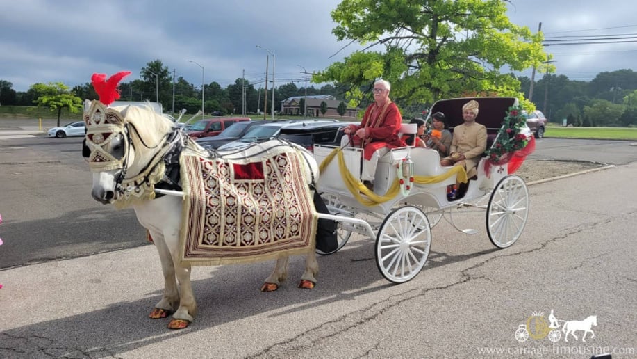 Gallery photo 10 of Carriage Limousine Service - Horse Drawn Carriages