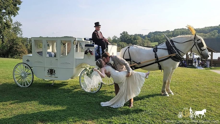 Gallery photo 1 of Carriage Limousine Service - Horse Drawn Carriages