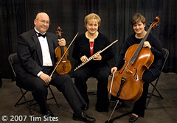 Gallery photo 4 of Chamber Music Unlimited/Bands and More