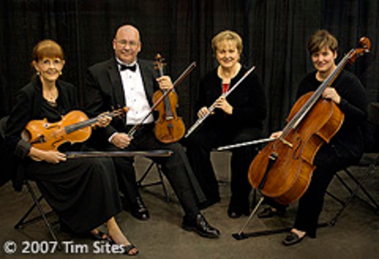Gallery photo 5 of Chamber Music Unlimited/Bands and More