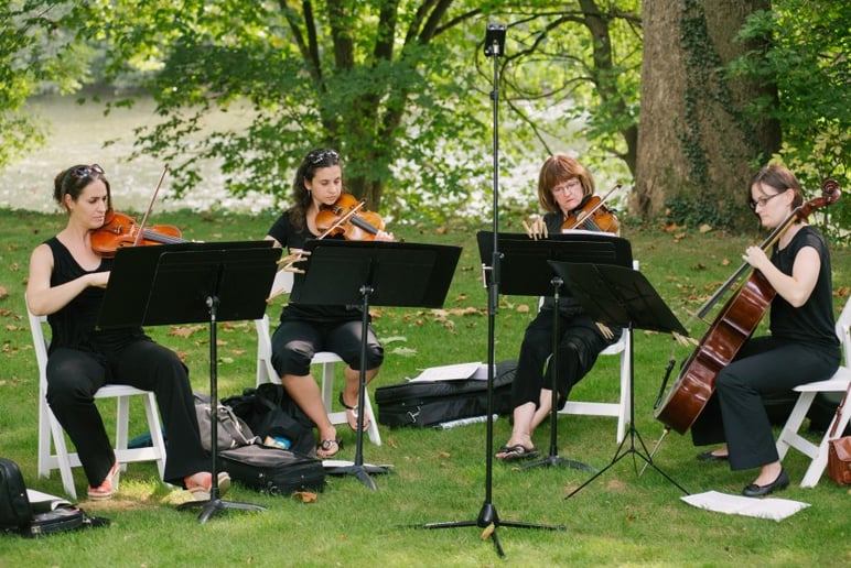 Gallery photo 3 of Cherrywood String Ensembles