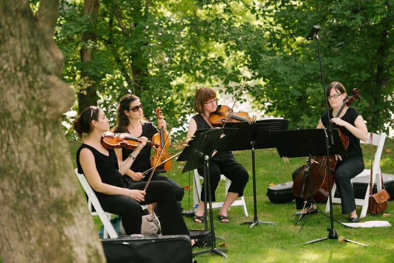 Gallery photo 4 of Cherrywood String Ensembles