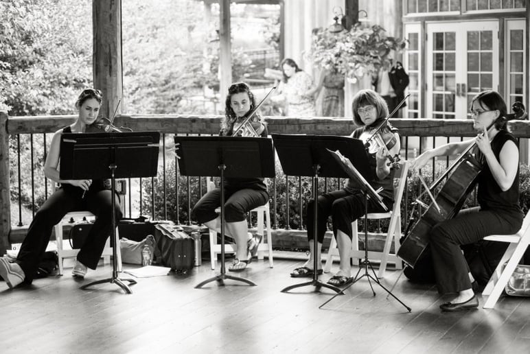 Gallery photo 5 of Cherrywood String Ensembles