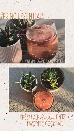 Gallery photo 8 of Chic Crafted Cocktails