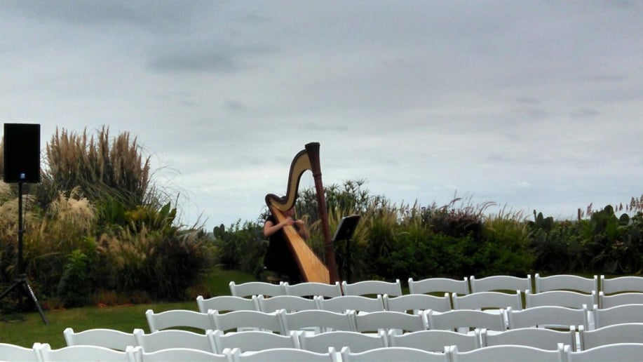 Gallery photo 1 of Christina Brier, harpist