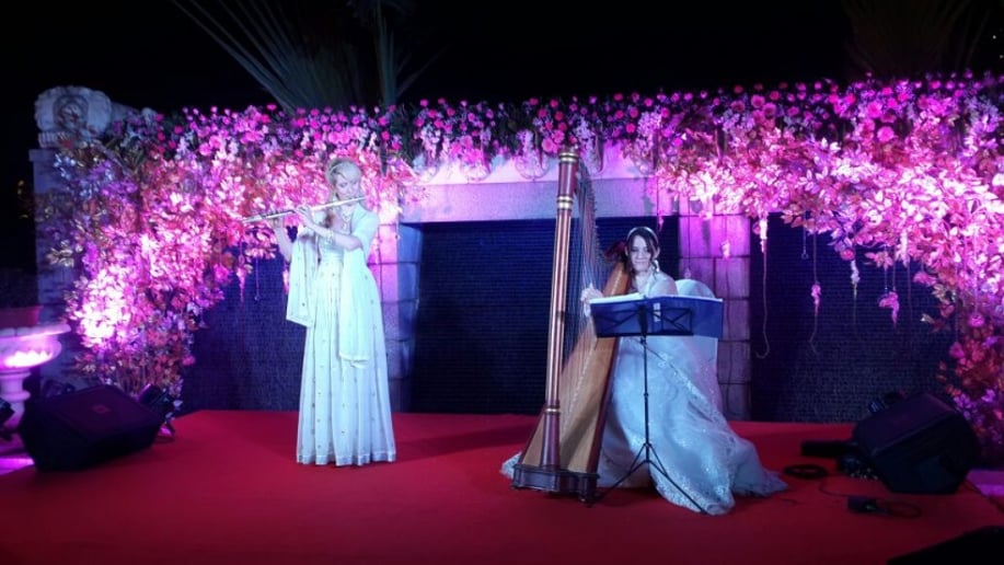 Gallery photo 2 of Christina Brier, harpist