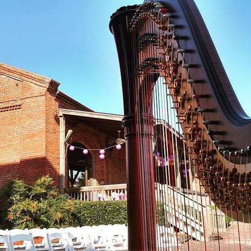 Gallery photo 5 of Christina Brier, harpist