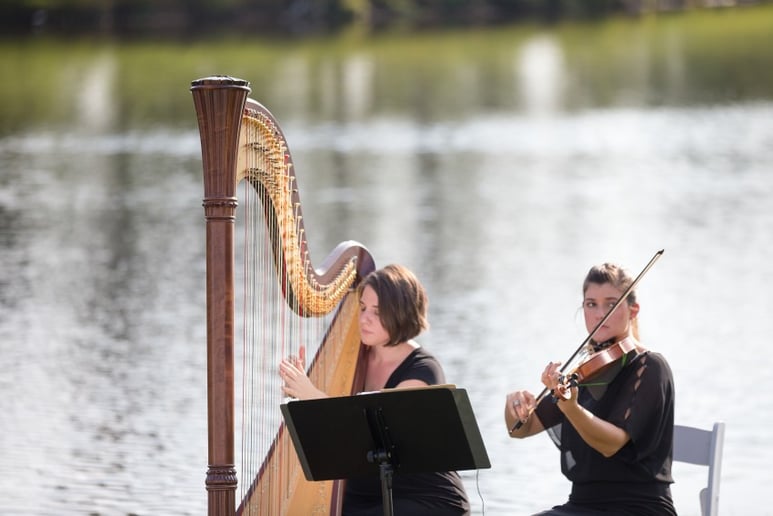 Gallery photo 6 of Christina Brier, harpist