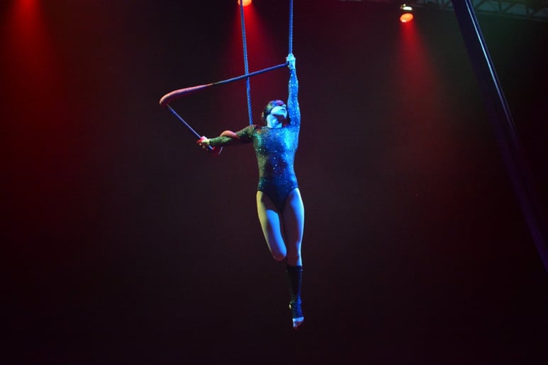 Gallery photo 5 of Circus Scorpius