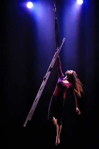 Gallery photo 6 of Circus Scorpius