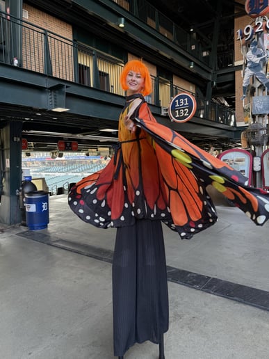 Gallery photo 5 of Tumbleweed Circus