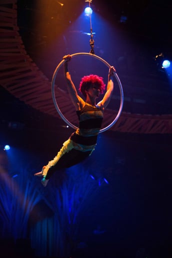 Gallery photo 17 of Elan Productions