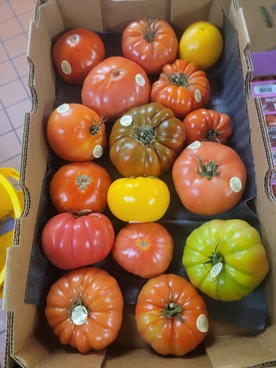 Gallery photo 1 of Colors FoodService