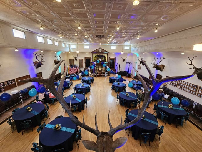 Gallery photo 40 of Cosmic Entertainment, LLC.
