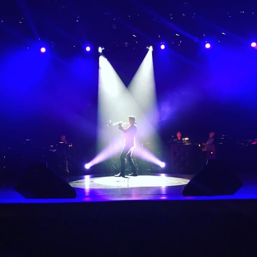 Gallery photo 4 of Dan Delgado Horn of Plenty