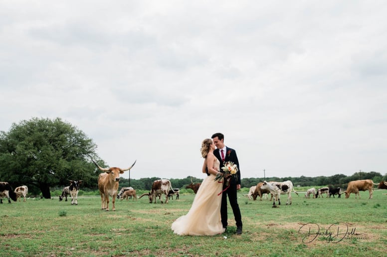 Gallery photo 5 of Darby Doll Photography