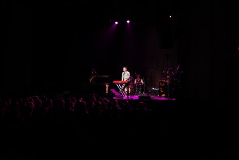 Gallery photo 4 of Dave Pettigrew