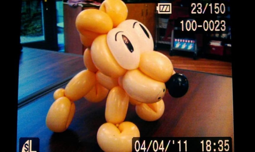 Gallery photo 1 of David Davenport