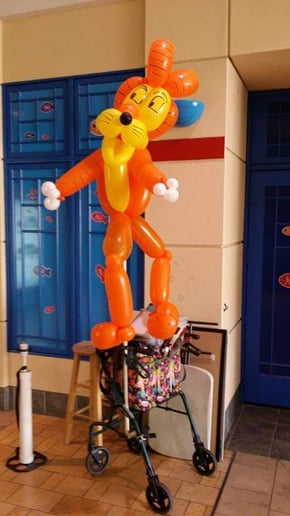 Gallery photo 8 of David Davenport