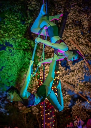 Gallery photo 9 of The Glow