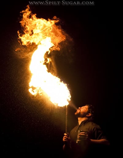 Gallery photo 19 of Detroit Circus