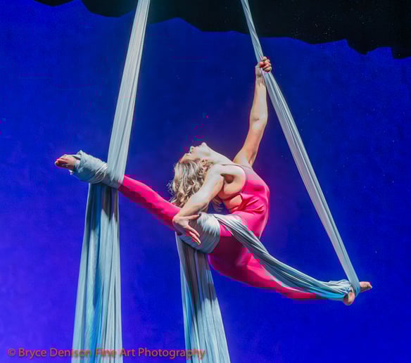 Gallery photo 3 of Detroit Circus
