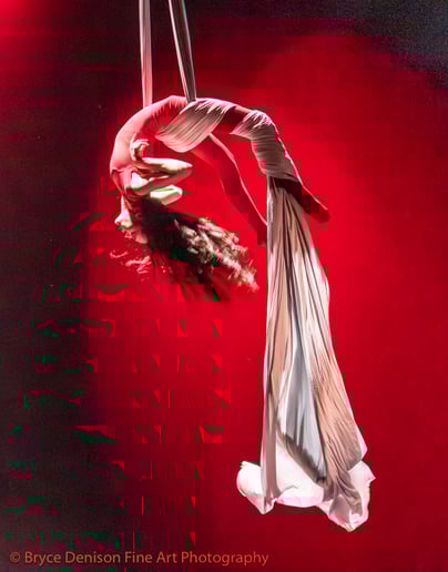 Gallery photo 14 of Detroit Circus