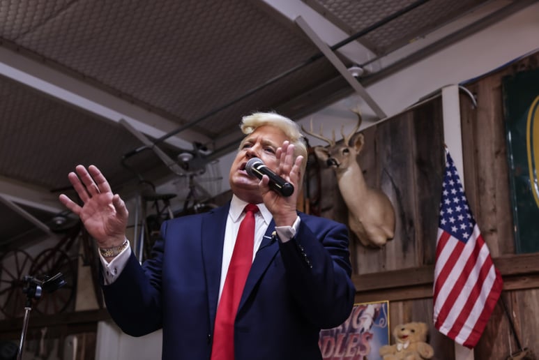 Gallery photo 12 of John Di Domenico