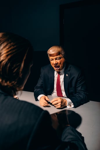 Gallery photo 13 of John Di Domenico