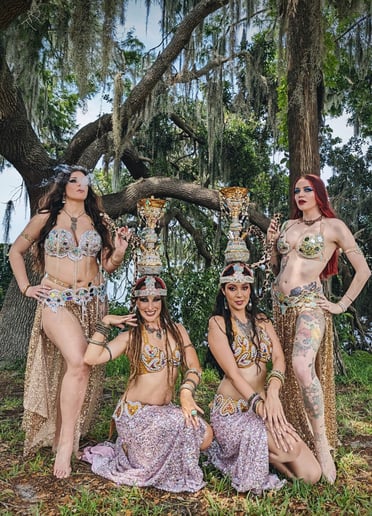 Gallery photo 5 of Disco Iskandar Middle Eastern Dance Company