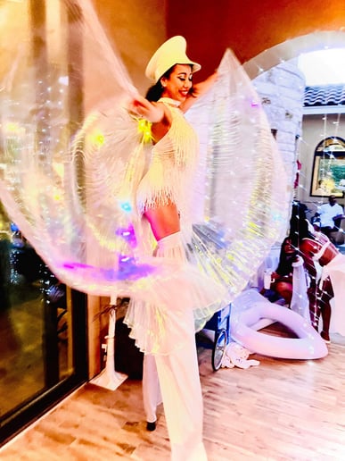 Gallery photo 3 of Divine Circus Entertainment