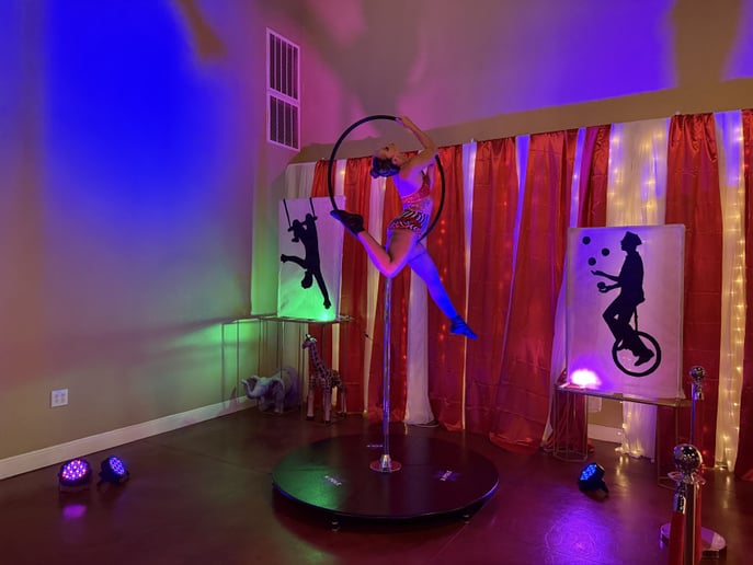 Gallery photo 33 of Divine Circus Entertainment