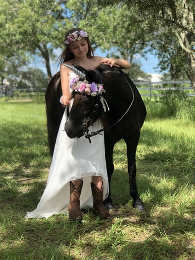 Gallery photo 1 of Divinity Stables