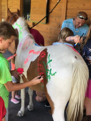 Gallery photo 2 of Divinity Stables