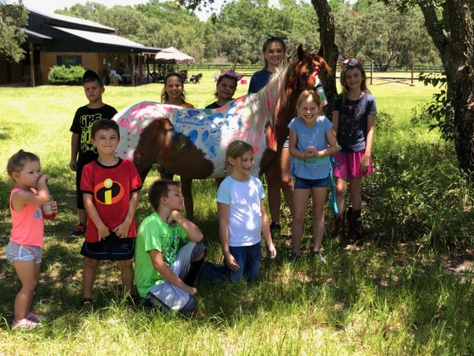 Gallery photo 3 of Divinity Stables