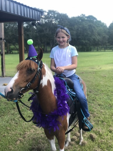 Gallery photo 6 of Divinity Stables