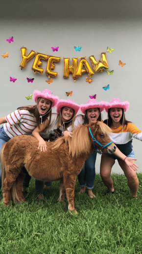 Gallery photo 7 of Divinity Stables