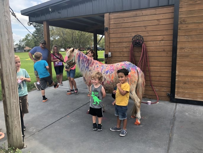 Gallery photo 8 of Divinity Stables