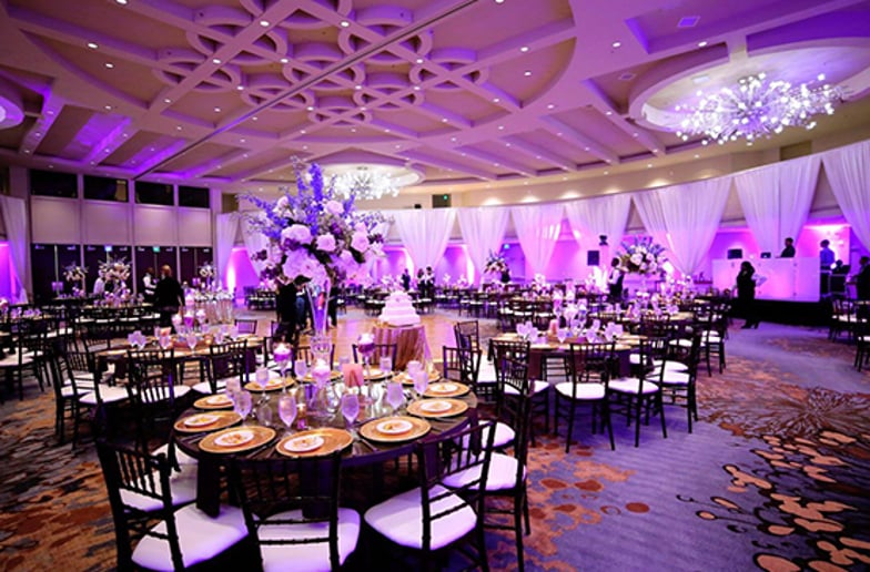 Gallery photo 10 of Ecstatic Entertainment