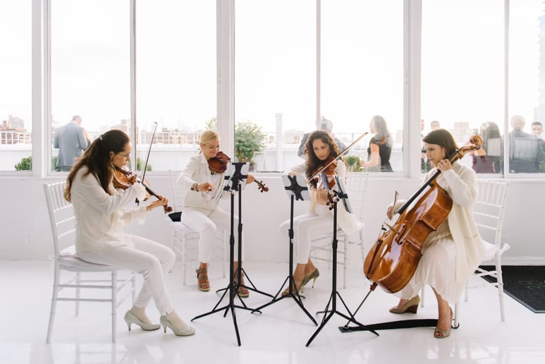 Gallery photo 3 of Dolce Vita Strings