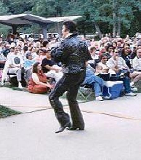 Gallery photo 3 of Don Anthony:  The Premier Elvis Entertainer